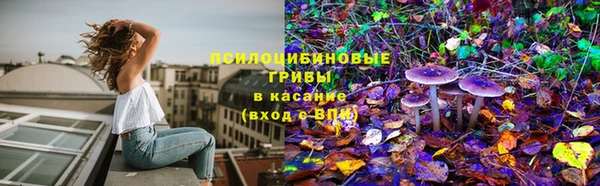 крисы Арсеньев